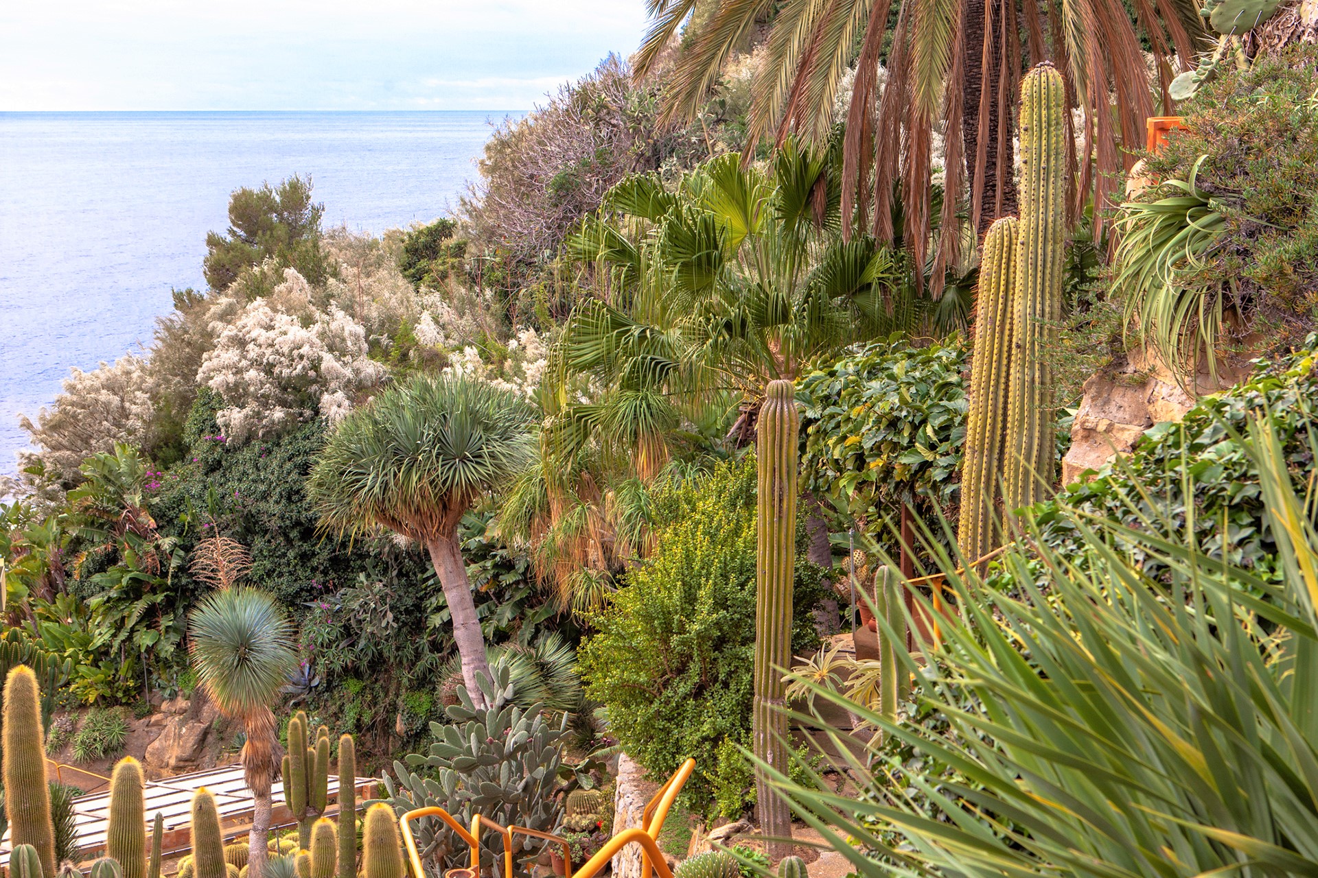 Giardino-esotico-Pallanca_Foto-Ferruccio