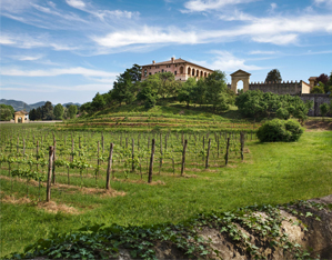 https://www.gardenrouteitalia.it/en/gr_itineraries/the-garden-like-landscape-of-the-euganean-hills-1/