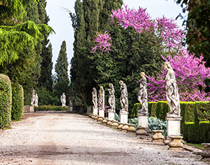 https://www.gardenrouteitalia.it/en/gr_offers/villa-trissino-marzotto-2/